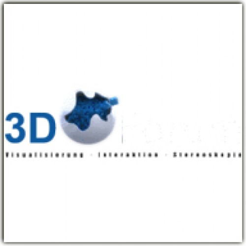 3D Forum 2011
